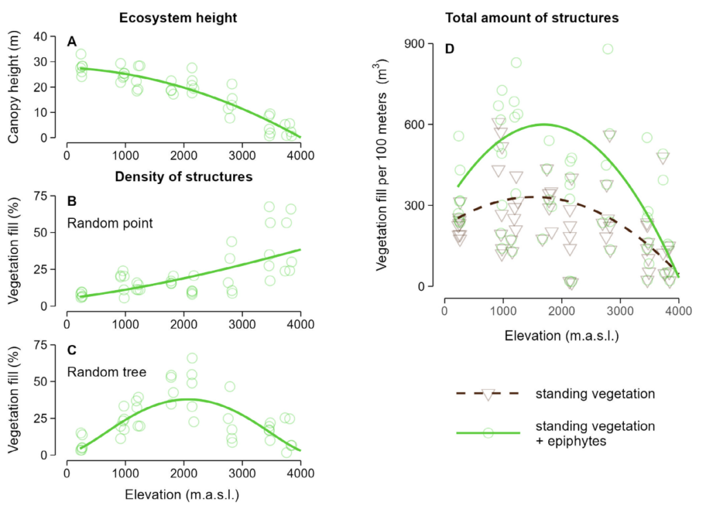 Fig. 2 Cantidad de sustrato vegetal potencial para la biodiversidad en función de la altitud en la ladera oriental de los Andes ecuatorianos: (A) altura del dosel; densidad de estructuras en (B) puntos al azar o (C) sobre árboles. Con todas estas medidas consideradas, la cantidad total de estructuras vegetales para la biodiversidad alcanza su máximo entre los 1500 y 2000 m de altitud (D).